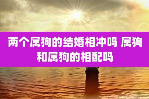 两个属狗的结婚相冲吗 属狗和属狗的相配吗