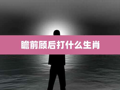 瞻前顾后打什么生肖