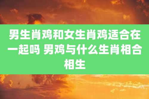 男生肖鸡和女生肖鸡适合在一起吗 男鸡与什么生肖相合相生