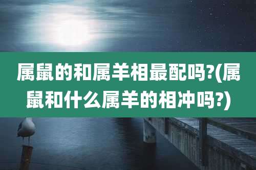 属鼠的和属羊相最配吗?(属鼠和什么属羊的相冲吗?)