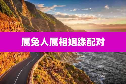 属兔人属相姻缘配对