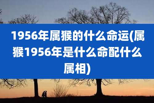 1956年属猴的什么命运(属猴1956年是什么命配什么属相)