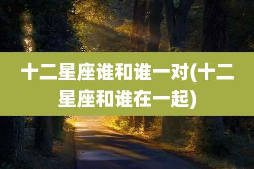 十二星座谁和谁一对(十二星座和谁在一起)