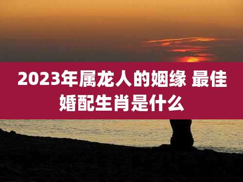 2023年属龙人的姻缘 最佳婚配生肖是什么