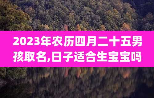 2023年农历四月二十五男孩取名,日子适合生宝宝吗
