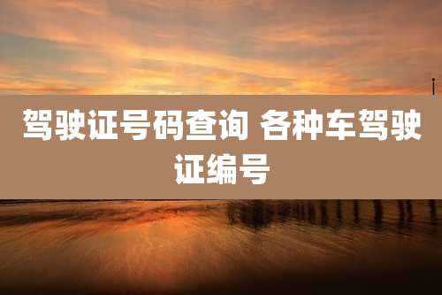 驾驶证号码查询 各种车驾驶证编号