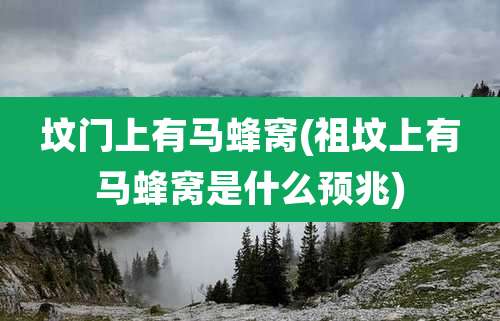 坟门上有马蜂窝(祖坟上有马蜂窝是什么预兆)