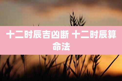 十二时辰吉凶断 十二时辰算命法