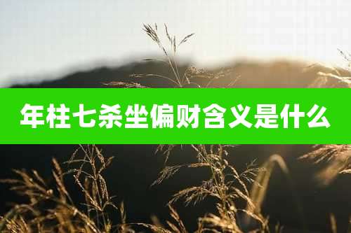 年柱七杀坐偏财含义是什么