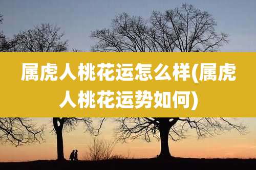 属虎人桃花运怎么样(属虎人桃花运势如何)