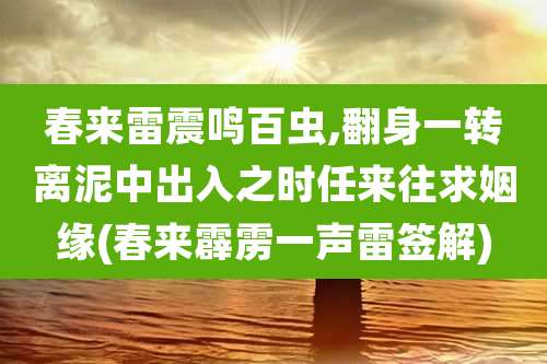 春来雷震鸣百虫,翻身一转离泥中出入之时任来往求姻缘(春来霹雳一声雷签解)