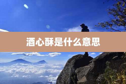 酒心酥是什么意思