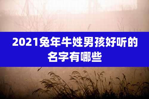 2021兔年牛姓男孩好听的名字有哪些