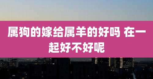 属狗的嫁给属羊的好吗 在一起好不好呢