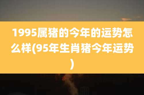 1995属猪的今年的运势怎么样(95年生肖猪今年运势)