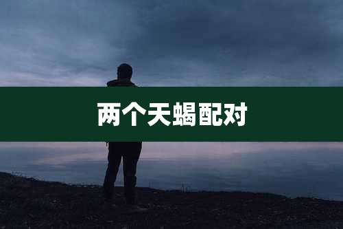 两个天蝎配对