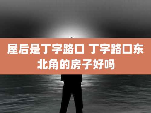 屋后是丁字路口 丁字路口东北角的房子好吗