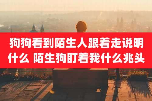 狗狗看到陌生人跟着走说明什么 陌生狗盯着我什么兆头