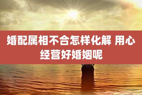 婚配属相不合怎样化解 用心经营好婚姻呢