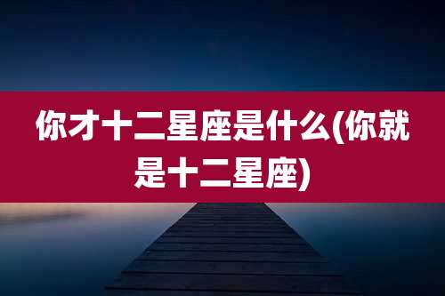 你才十二星座是什么(你就是十二星座)