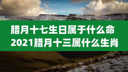 腊月十七生日属于什么命 2021腊月十三属什么生肖