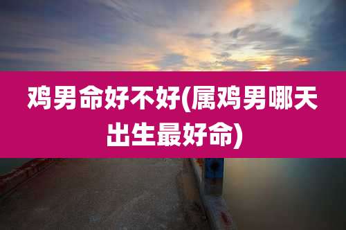鸡男命好不好(属鸡男哪天出生最好命)