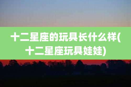 十二星座的玩具长什么样(十二星座玩具娃娃)