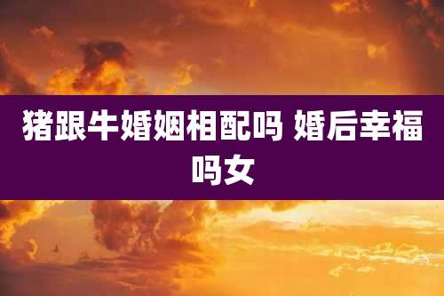 猪跟牛婚姻相配吗 婚后幸福吗女