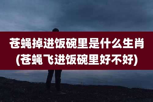 苍蝇掉进饭碗里是什么生肖(苍蝇飞进饭碗里好不好)