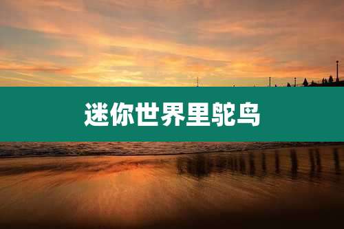 迷你世界里鸵鸟