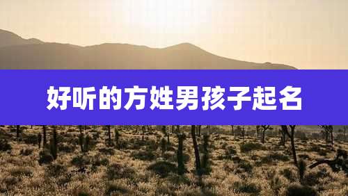 好听的方姓男孩子起名