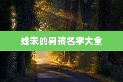 姓宋的男孩名字大全