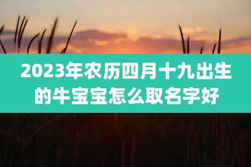 2023年农历四月十九出生的牛宝宝怎么取名字好