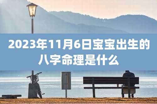 2023年11月6日宝宝出生的八字命理是什么