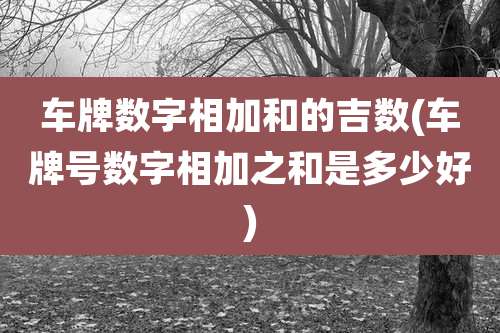 车牌数字相加和的吉数(车牌号数字相加之和是多少好)