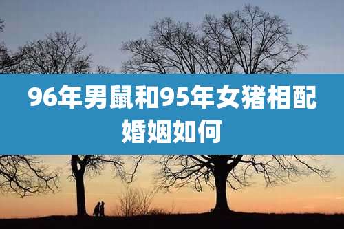 96年男鼠和95年女猪相配婚姻如何