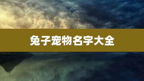 兔子宠物名字大全