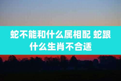 蛇不能和什么属相配 蛇跟什么生肖不合适