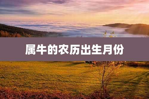 属牛的农历出生月份