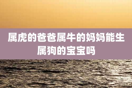 属虎的爸爸属牛的妈妈能生属狗的宝宝吗