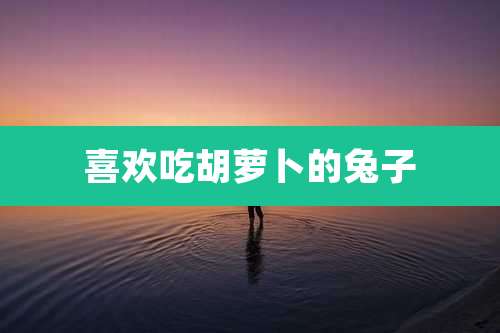 喜欢吃胡萝卜的兔子