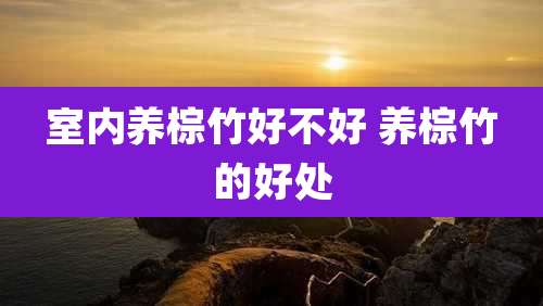室内养棕竹好不好 养棕竹的好处