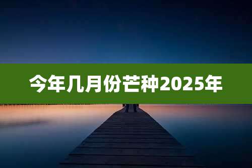 今年几月份芒种2025年