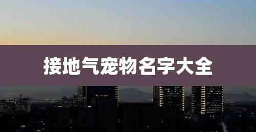 接地气宠物名字大全