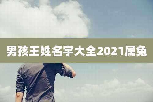 男孩王姓名字大全2021属兔