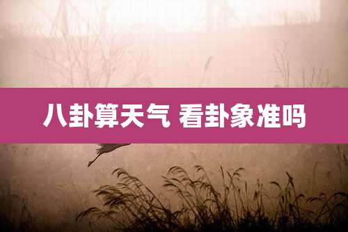 八卦算天气 看卦象准吗