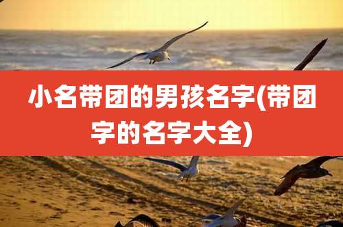 小名带团的男孩名字(带团字的名字大全)