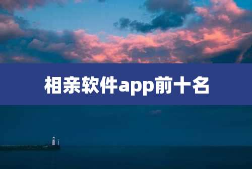 相亲软件app前十名