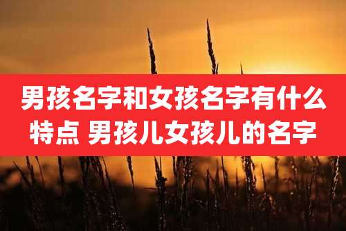 男孩名字和女孩名字有什么特点 男孩儿女孩儿的名字