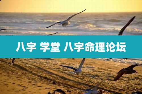 八字 学堂 八字命理论坛
